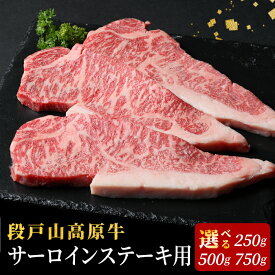【ふるさと納税】国産牛 サーロインステーキ 250g 500g 750g 1枚 2枚 3枚 国産牛 選べる 内容量 国産 牛肉 牛 サーロイン ステーキ 高級 冷凍 牛 日本酒 バーベキュー 肉 段戸山高原牛 厚切り 赤身 数量限定 10000円 10,000円 10000 -075