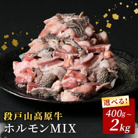 【ふるさと納税】国産牛 段戸山高原牛 ホルモンMIX 2kg 1.2kg 800g 400g もつ鍋 焼肉用 ホルモン ホルモン焼き もつ鍋 焼肉 BBQ キャンプ 肉 鉄板焼き -192