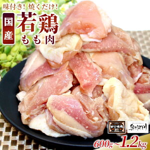 yӂ邳Ɣ[ŁzqIׂeʁrO͂ǂgpI c{ t  1.2kg 600g _ t { {  Lv o[xL[ t e y Ă n{ ē Ă 5000