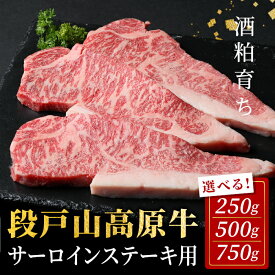 【ふるさと納税】国産牛 段戸山高原牛 サーロインステーキ 250g 500g 750g 1枚 2枚 3枚 国産牛 選べる 内容量 国産 牛肉 牛 サーロイン ステーキ ステーキ 高級部位 日本酒 バーベキュー 肉 厳選 人気 厚切り 赤身 数量限定 キャンプ 10000円 10,000円 10000 -075