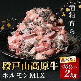 【ふるさと納税】国産牛 段戸山高原牛 ホルモンMIX 2kg 1.2kg 800g 400g もつ鍋 焼肉用 ホルモン ホルモン焼き もつ鍋 焼肉 BBQ キャンプ 肉 鉄板焼き -192