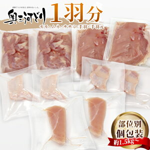 yӂ邳Ɣ[ŁzmY { O͂ǂ 1H 1.5kg`1.8kg o   ނ  H H {  l Y Ⓚ   `L NX}X p[eB[ o[xL