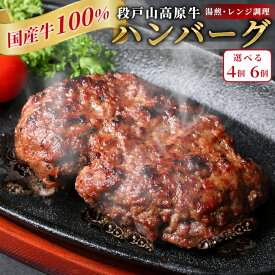 【ふるさと納税】〈選べる個数〉国産 牛肉 100% ハンバーグ レンジ可 湯煎 加熱済 4個 6個 個包装 100g 国産牛 牛 着色料 保存料 化学調味料 不使用 牛肉ハンバーグ 肉 肉汁 -094