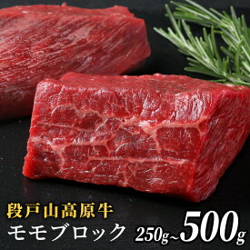 【ふるさと納税】〈選べる内容量〉国産牛 赤身が美味しい 段戸山高原牛 モモブロック 選べる 容量 500g 250g 赤身 赤身ブロック モモステーキ 塊肉 ブロック肉 日本酒 蓬莱泉 牛肉 牛 肉 キャンプ 5000円 10000円 10000 -082