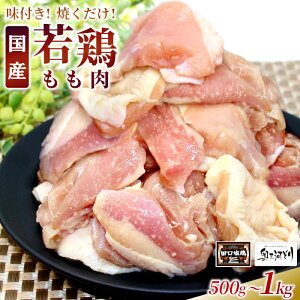 【ふるさと納税】〈選べる容量〉奥三河どり使用! 田口塩鶏 味付け もも肉 1kg 500g 塩ダレ 味付け肉 鶏肉 鶏 肉 キャンプ バーベキュー 味付け肉 大容量 手軽 焼くだけ 地鶏 焼肉 焼き鳥 5000円
