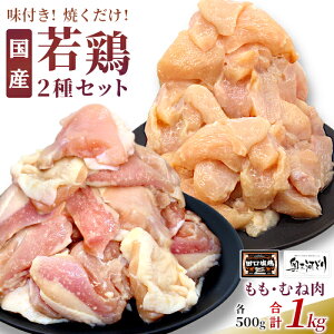 yӂ邳Ɣ[ŁzO͂ǂ c{ Y {t 2Zbg 1kgi250g×2Eނ˓250g×2j ނ˓ _ t { {  Lv o[xL[ t e y
