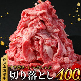 【ふるさと納税】国産ブランド牛 切り落とし 400g (200g×2） 小分け 段戸山高原牛 幻 牛 国産 牛肉 牛 スライス 地域 限定 小分け 大満足 赤身 肉 数量限定 肉 牛肉切り落とし 牛切り落とし 国産牛 ブランド牛 5000円 -070