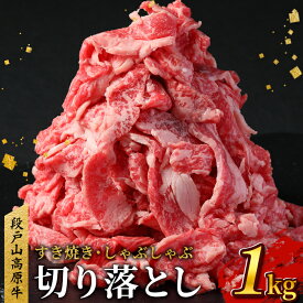 【ふるさと納税】国産ブランド牛 切り落とし 1Kg (200g×5） 小分け 段戸山高原牛 幻 牛 国産 牛肉 牛 スライス 地域 限定 小分け 大満足 赤身 肉 数量限定 肉 牛肉切り落とし 牛切り落とし 国産牛 ブランド牛 10000円 10,000円 -039