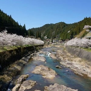 �y�ӂ邳�Ɣ[�Łz����싙���q�A�}�S�ޔN���r