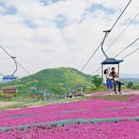 【ふるさと納税】茶臼山高原のリフト券（6枚）