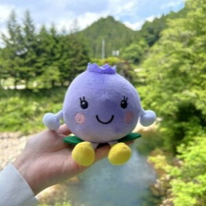 �y�ӂ邳�Ɣ[�Łz�u�x���[�����v�ʂ������