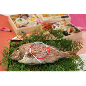 【ふるさと納税】活鯛めでたい焼　1尾【配送不可地域：離島】【1544344】