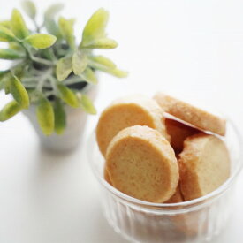 【ふるさと納税】よろこばのホエイクッキー　プレーン　50g×12個【1550490】