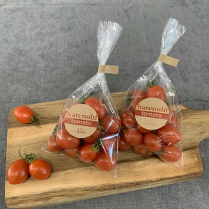 yӂ邳Ɣ[Łznmqg}g@120g×4܁yzsnFzy1567799z