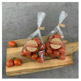 【ふるさと納税】ハレノヒトマト　120g×8袋【配送不可地域：離島】【1568854】