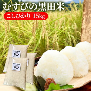 yӂ邳Ɣ[ŁzV ނт̍c Ђ 15L [   15kg 5kg×3 RVqJ ٓ ނ ߂Ă ] @͂F2025N825ȍ~oח\