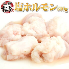 【ふるさと納税】松良 秘伝の 塩 ホルモン (500g)　【津市】