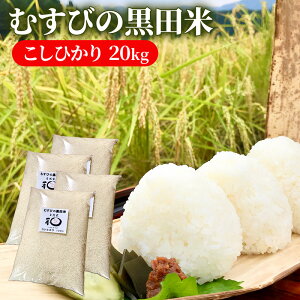 yӂ邳Ɣ[ŁzV ނт̍c Ђ 20L [   20kg 5kg×4 RVqJ ٓ ނ ߂Ă ] @͂F2025N825ȍ~oח\
