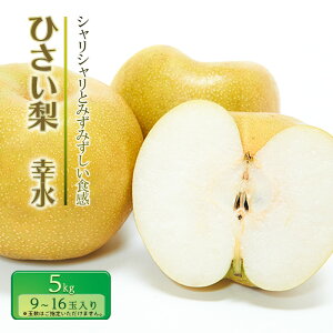 yӂ邳Ɣ[Łzys\zЂ K 5kgyʎ Gz [  iV ʕ t[c Yn ] @͂F2026N729`2026N831ɔ܂B