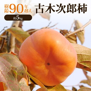 yӂ邳Ɣ[Łz90NzÖ؎Y` 5kg [  JL ʕ t[c Yn ] ʕ @͂F2025N111`2025N127