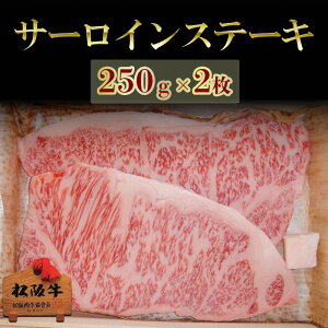 yӂ邳Ɣ[Łz㋍T[CXe[L 250g×2@㋍   a  Xe[L Xe[L T[C 500g Mtg O   j j Ԃ Od Îs@