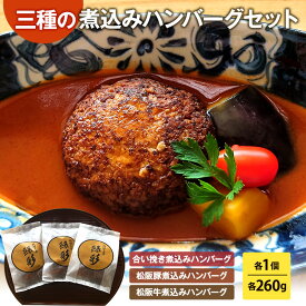 【ふるさと納税】ハンバーグ 三種の煮込みハンバーグセット 煮込み ひき肉 挽肉 合い挽き デミグラスソース 温めるだけ 豚肉 牛肉 松阪豚 松阪牛 ブランド セット 食べ比べ 冷凍 国産 津市 三重県　お届け：12月上旬以降のお申込は1月中旬以降のお届けになります