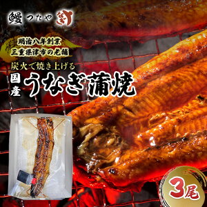 yӂ邳Ɣ[ŁzV΂₫O@600g` [ȂĂ YΏ  V  V EiM Mtg 蕨 Ș V O J ȒP ① N̓]