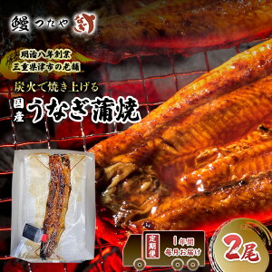 yӂ邳Ɣ[ŁzyցzNԖ\@V΂₫@4800g` [ȂĂ YΏ  V  V EiM Mtg 蕨 Ș V O J ȒP ① N̓]