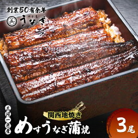 【ふるさと納税】【数量限定】愛知三河一色産 めすうなぎ 手焼き蒲焼 3尾 うなぎ蒲焼き 炭火焼 たれ 鰻 蒲焼 鰻蒲焼 ウナギ 三重県 津市　お届け：2026年6月初旬～8月末