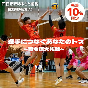 yӂ邳Ɣ[Łzy̌^zIɂȂȂ̃gX`iߓ`y撅10z2026N117 2026N118@o[ o[{[ ̌`Pbg `Pb gBAeB gX̌ ̌^ 