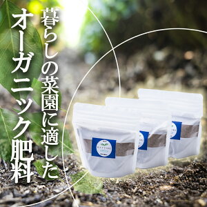 yӂ邳Ɣ[Łzƒ뉀|p L@엿iL@z653)150g×3 y엿 I[KjbN  _  { ƒ؉ _Ǝ f _ Od lssӂ邳Ɣ[ŁzG݁Epȋ