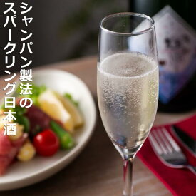 【ふるさと納税】日本酒のほのかな甘みとシャンパンのようなノド越しのキレの両立。伊藤酒造 鈿女（うずめ）AWA 泡 スパークリング 720ml