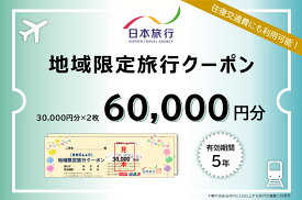 【ふるさと納税】日本旅行地域限定旅行クーポン 60,000円分
