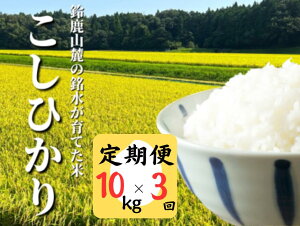 yӂ邳Ɣ[Łzցyߘa7NxzЂ 10kg 鎭R[̖ĂāAĂǂOdYRcnuЂv10kgy3z Rc