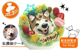 【ふるさと納税】犬用似顔絵ケーキ・選べるクリーム・獣医師監修