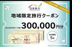 【ふるさと納税】1340 日本旅行地域限定旅行クーポン　300,000円分