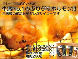 【ふるさと納税】1509-S　自家製 みそダレ Fセット　　牛ホルモン 200g 300g 豚肉 鶏肉/ 黒毛和牛ホルモン 牛清 バーベキュー キャンプ 牛肉 ぶた肉 とり肉 特製 味噌漬 味付 伊勢志摩