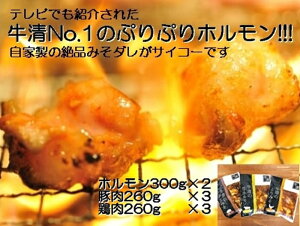 yӂ邳Ɣ[Łz1517@Ɛ ݂_ NZbg@@ z 300g×2 ؓ ×3 { ×3/ јaz  o[xL[ BBQ Lv  Ԃ Ƃ  X t ɐu