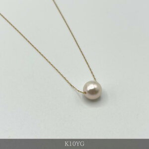 yӂ邳Ɣ[Łz1666@K10YG@AR^@X[y_g@8~Abv