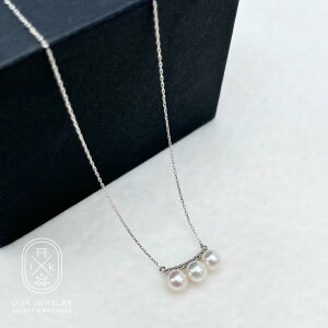 yӂ邳Ɣ[Łz1887 PT900/850 _Ch0.04ct AR^y_g4.5mmUP ^@lbNX@y_g@AR^@ARL@ɐu@Ձ@@w@Mtg@蕨