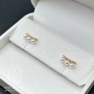 【ふるさと納税】1890 K18YGダイヤモンド0.08ct アコヤ真珠ピアス3.5mmUP 真珠 ネックレス ペンダント アコヤ真珠 アコヤ貝 伊勢志摩 冠婚葬祭 結婚式 入学式 ギフト 贈り物 アクセ