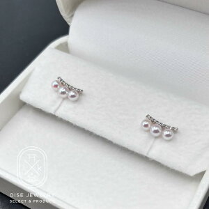 【ふるさと納税】1891 PT900ダイヤモンド0.08ct アコヤ真珠ピアス3.5mmUP 真珠 ネックレス ペンダント アコヤ真珠 アコヤ貝 伊勢志摩 冠婚葬祭 結婚式 入学式 ギフト 贈り物 アクセ