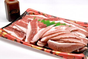 yӂ邳Ɣ[Łz _t ē Zbg 800g ؓ  Ԃ ؃Jr gEKV gg ؃g ؂Ƃ@_ t ^t Ă BBQ o[xL[ AEghA 
