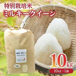 ミルキークイーン＜特別栽培米＞精米 10kg（減農薬 有機...