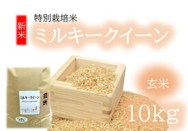 【ふるさと納税】ミルキークイーン（特別栽培米）玄米 10kg（新米予約9月以降発送）