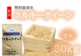 【ふるさと納税】ミルキークイーン（特別栽培米）玄米 30kg（新米予約9月以降発送）