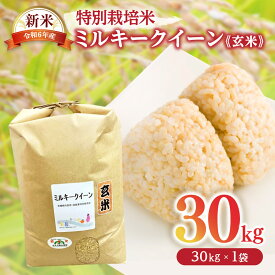 【ふるさと納税】ミルキークイーン（特別栽培米）玄米 30kg（新米予約9月以降発送）