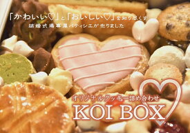 【ふるさと納税】KOI BOX（オリジナルクッキー）