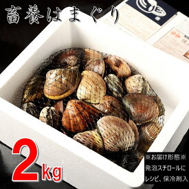 【ふるさと納税】 桑名はまぐり屋　蓄養はまぐり　3年～6年もの　2kg_蛤　ハマグリ　魚介　貝