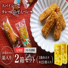 【ふるさと納税】 美鹿山荘　【定期便】 スパイシーなカレーのおせんべい 4種のカレー食べ比べ アソートセット 100g×2箱 を3か月連続